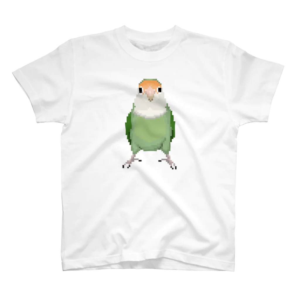 たかはらのこっちをみるコザクラインコ　シーグリーン スタンダードTシャツ