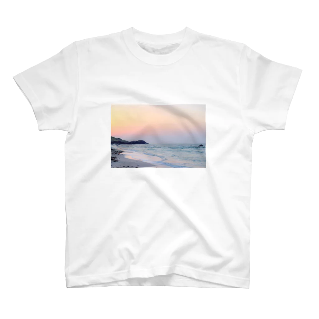 魚を正しくさばくのSunset on the beach Regular Fit T-Shirt