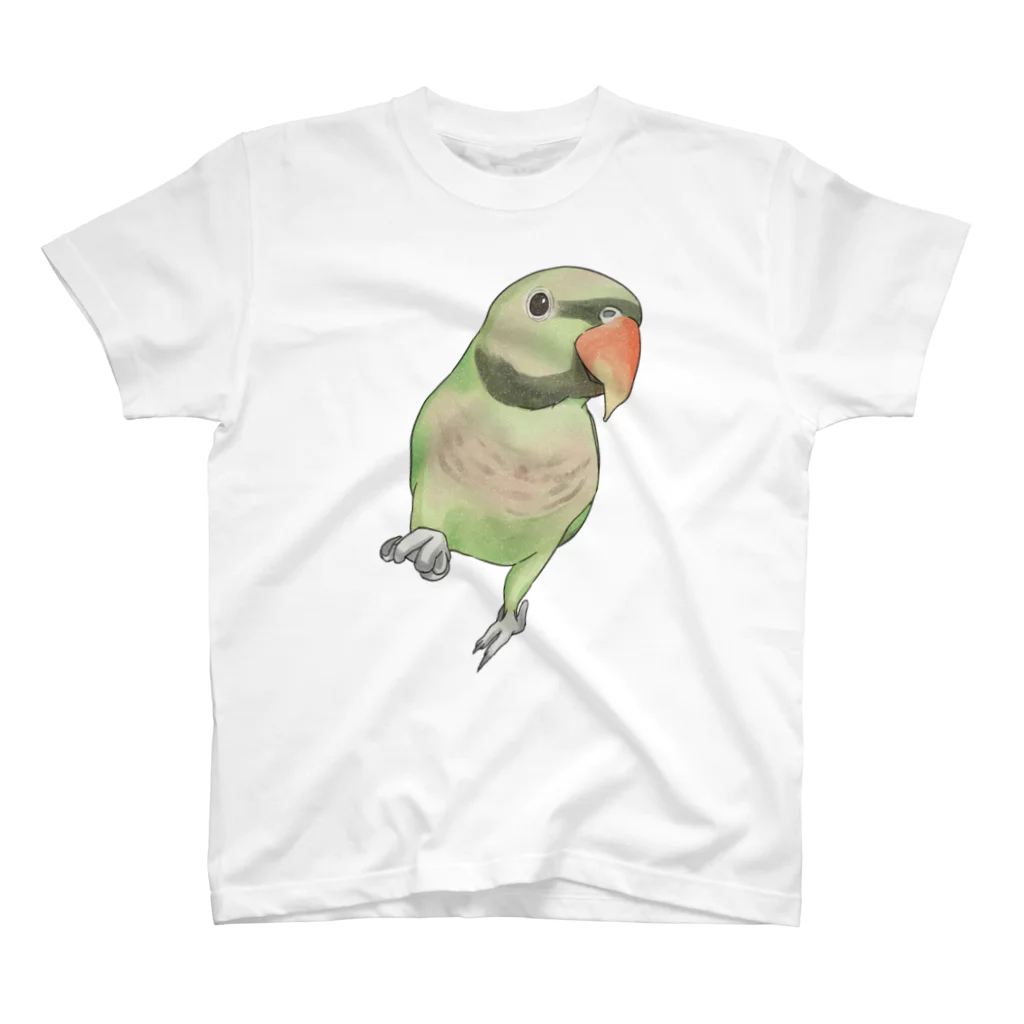 まめるりはことりのご機嫌なダルマインコちゃん【まめるりはことり】 スタンダードTシャツ