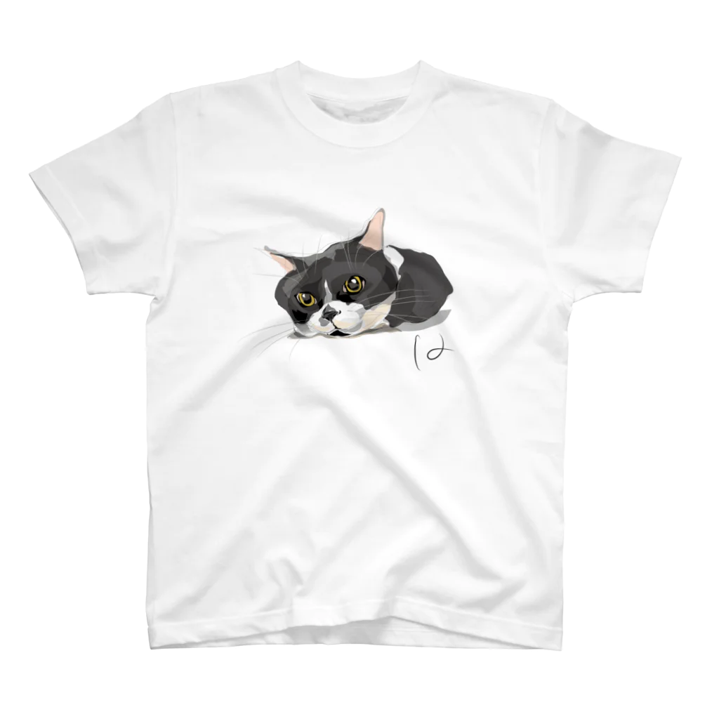 毎日猫さん犬さんの猫３T スタンダードTシャツ