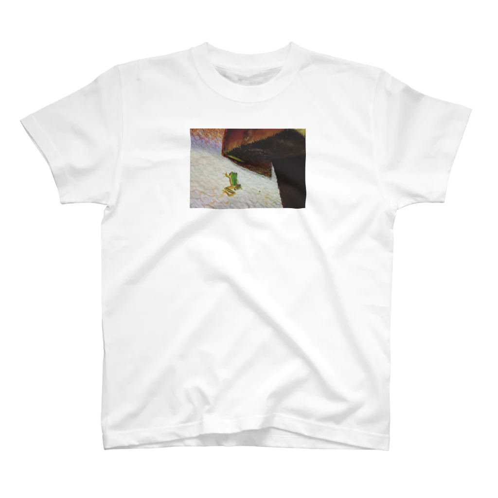 tmprのカエル Regular Fit T-Shirt