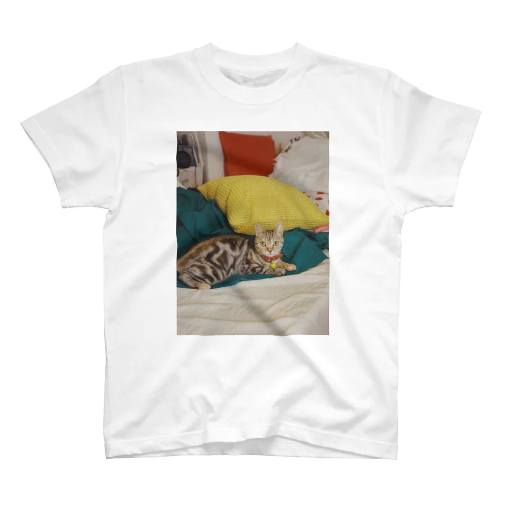 34の赤黄緑猫 スタンダードTシャツ