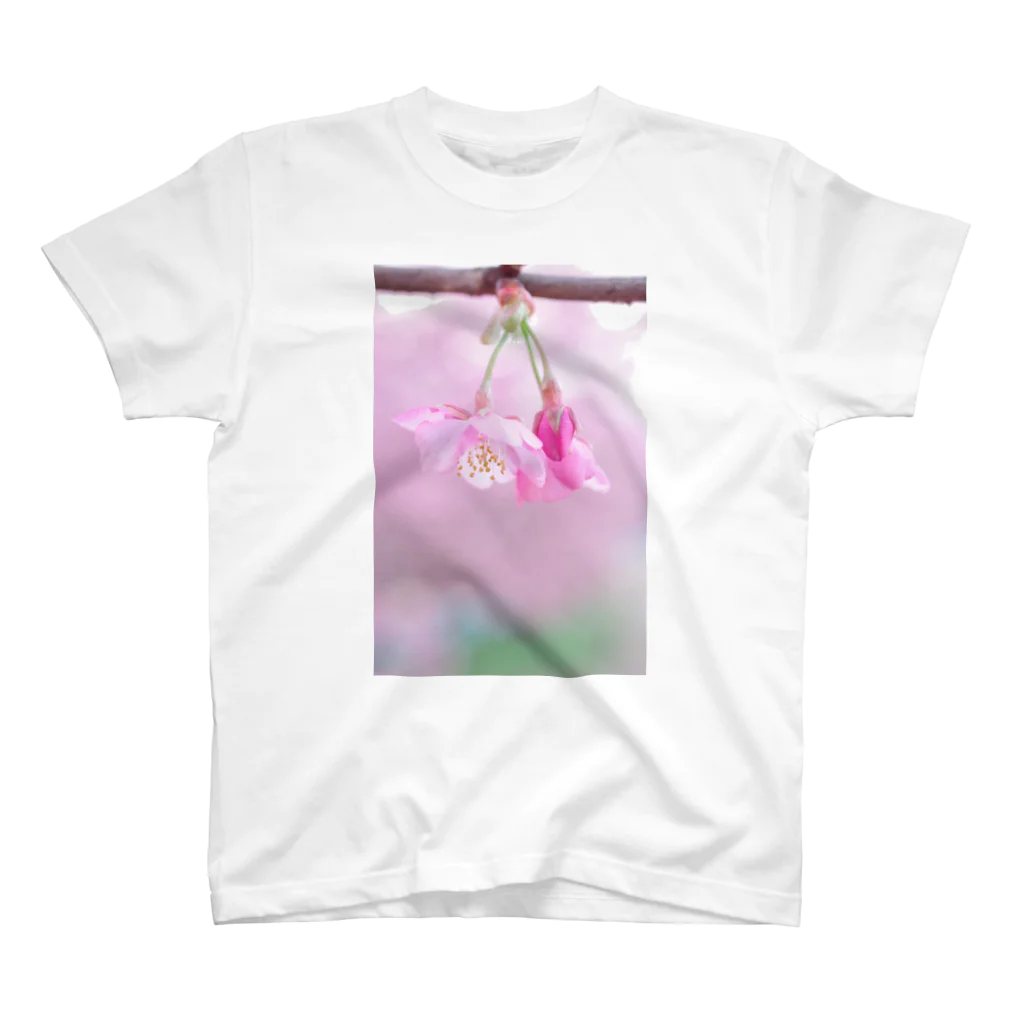 ゆる工房の河津桜 スタンダードTシャツ