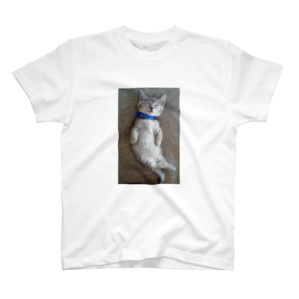 ひろみの猫スヤスヤマンチカン Regular Fit T-Shirt