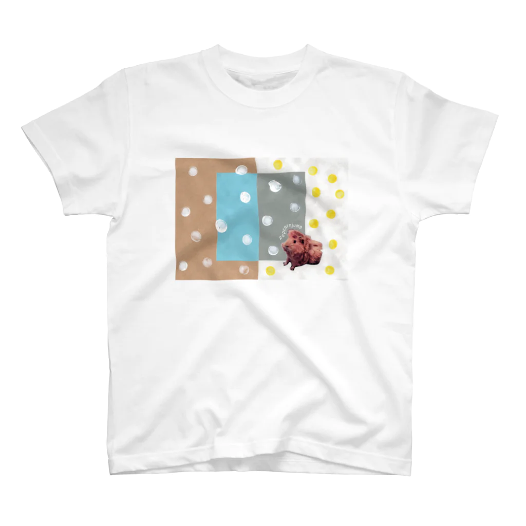 ふくちゃんの毎日。のみずたまとふわふわ茶色い子 スタンダードTシャツ