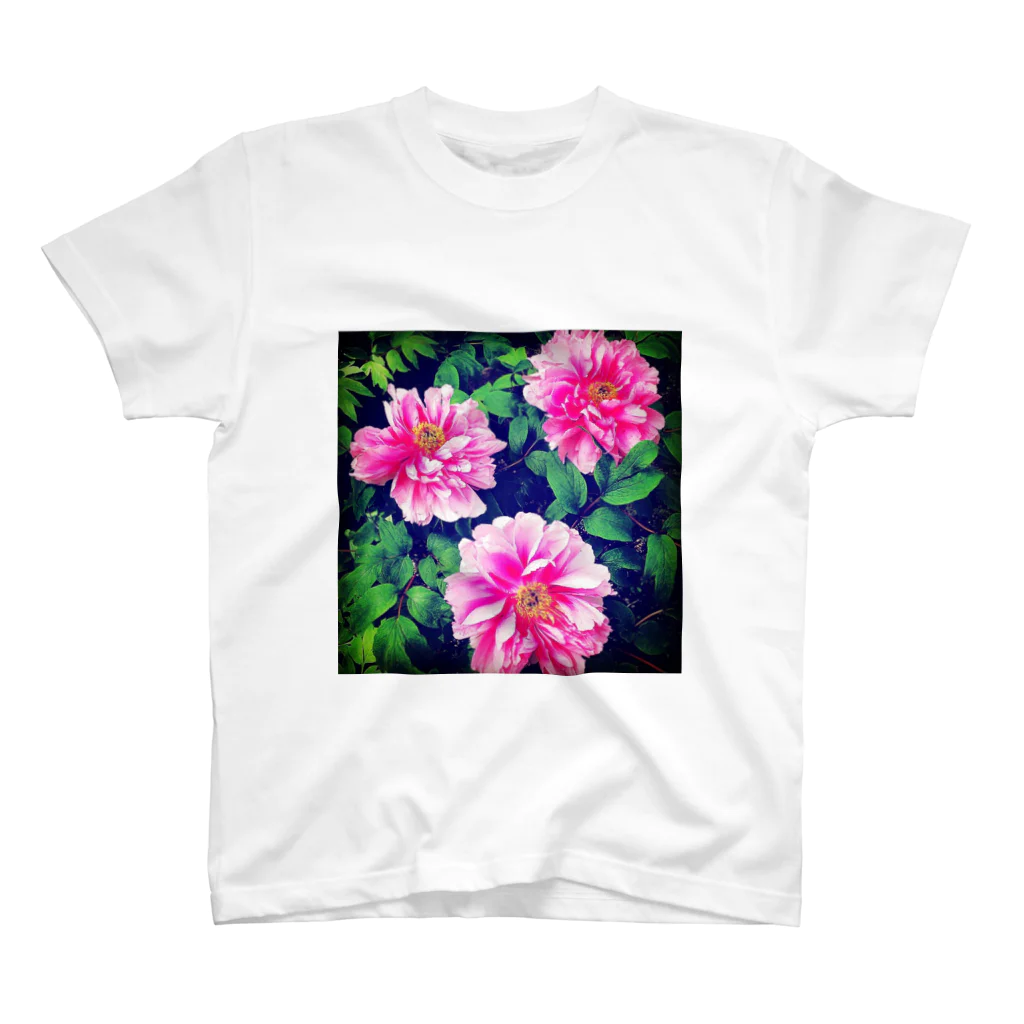 aoki_tanの牡丹の花 スタンダードTシャツ