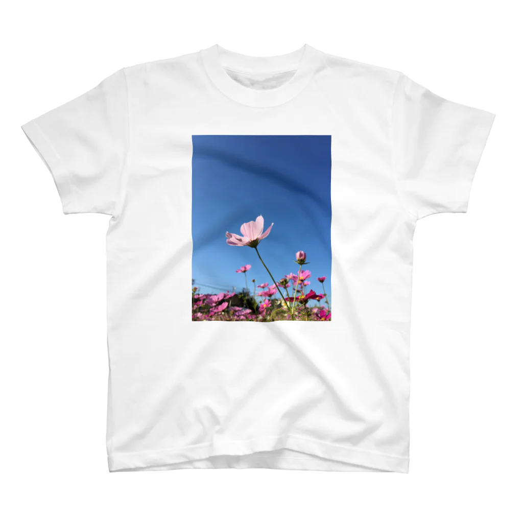 雫の中の世界の空と秋桜 スタンダードTシャツ