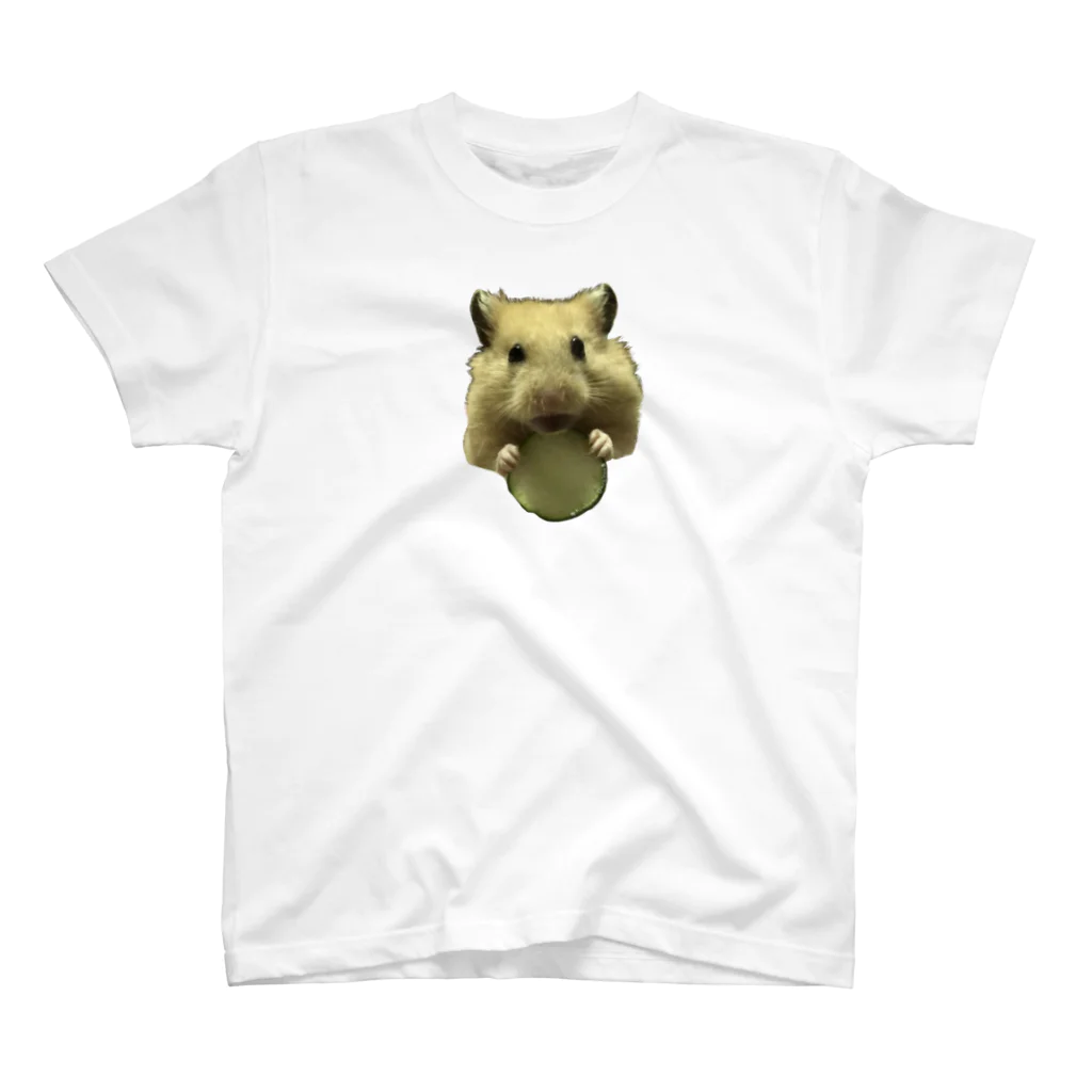 ichiichi_konkonのきゅうりとキンクマだいちゃん Regular Fit T-Shirt