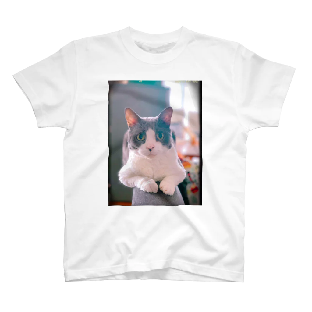 Rock in Catsの猫毛団のぽんちゃん Regular Fit T-Shirt