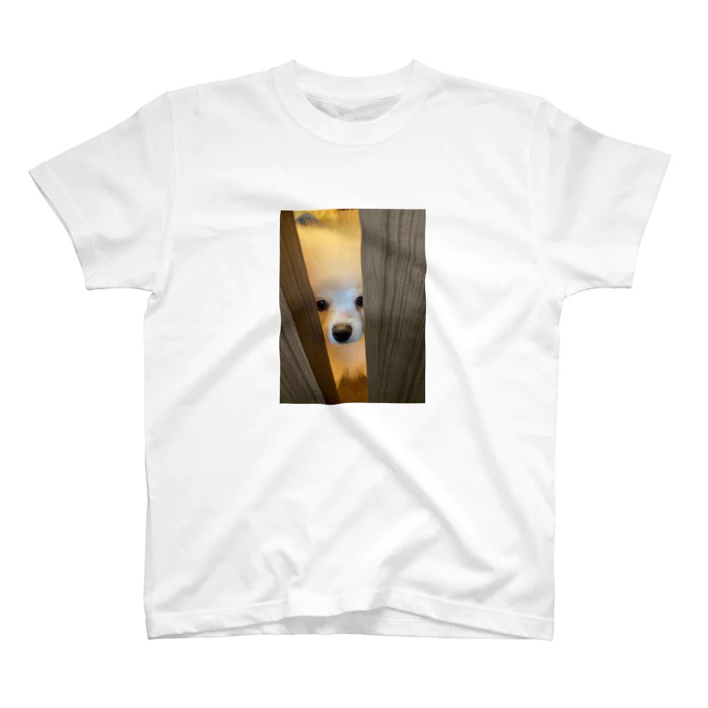miii0314の猿期なポメ Regular Fit T-Shirt
