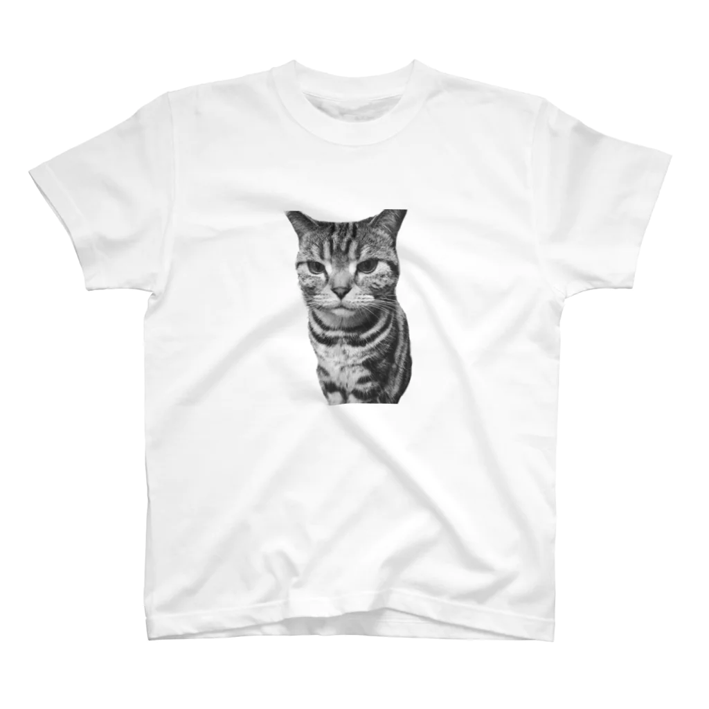 猫の事務所の逆切れ スタンダードTシャツ