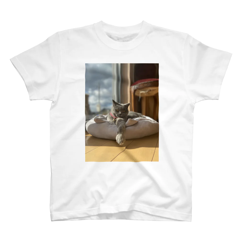 うちの犬うちの猫のねこちゃん Regular Fit T-Shirt