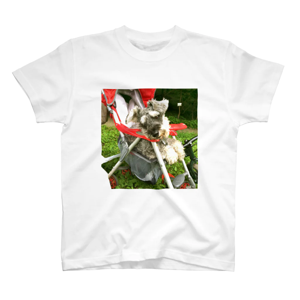 カピのベビーカーに乗る犬 スタンダードTシャツ