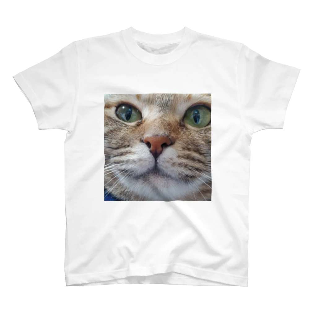 猫雑貨さんちこの限りなく近い猫プリピ スタンダードTシャツ