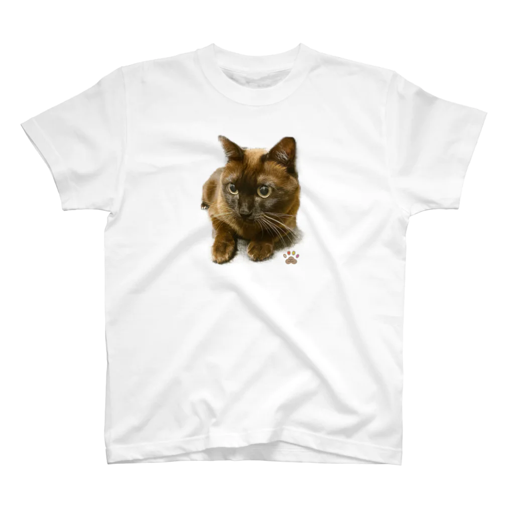 茶猫革命〜Chaneko de Revolution 〜のCHANEKO no KIMOCHI スタンダードTシャツ