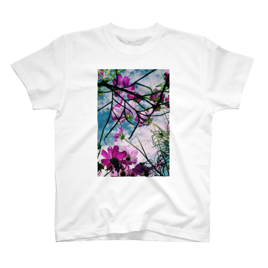 M.AjiroのFloral Composition No.3 スタンダードTシャツ