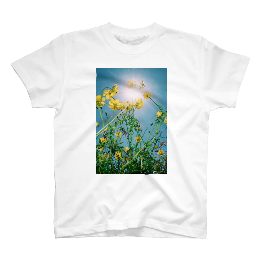 M.AjiroのFloral Composition No.5 スタンダードTシャツ