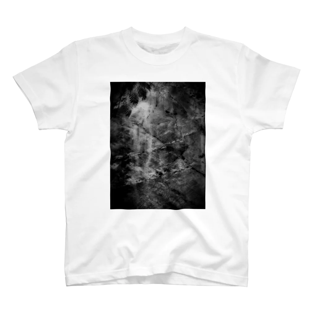 余白/yohakuのArtwork#1 岩肌-monochrome- スタンダードTシャツ