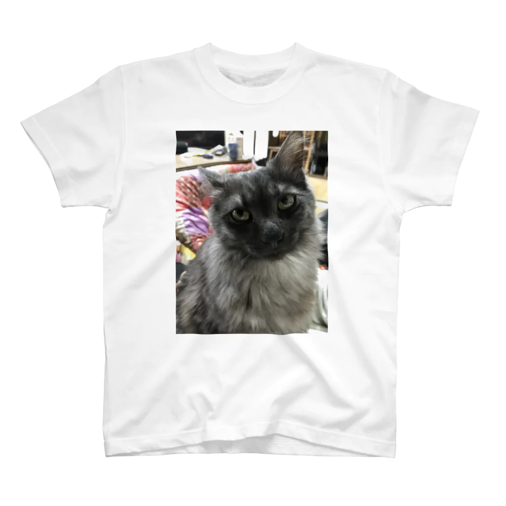 イロハスのMy kitty Tsuyu-chan スタンダードTシャツ