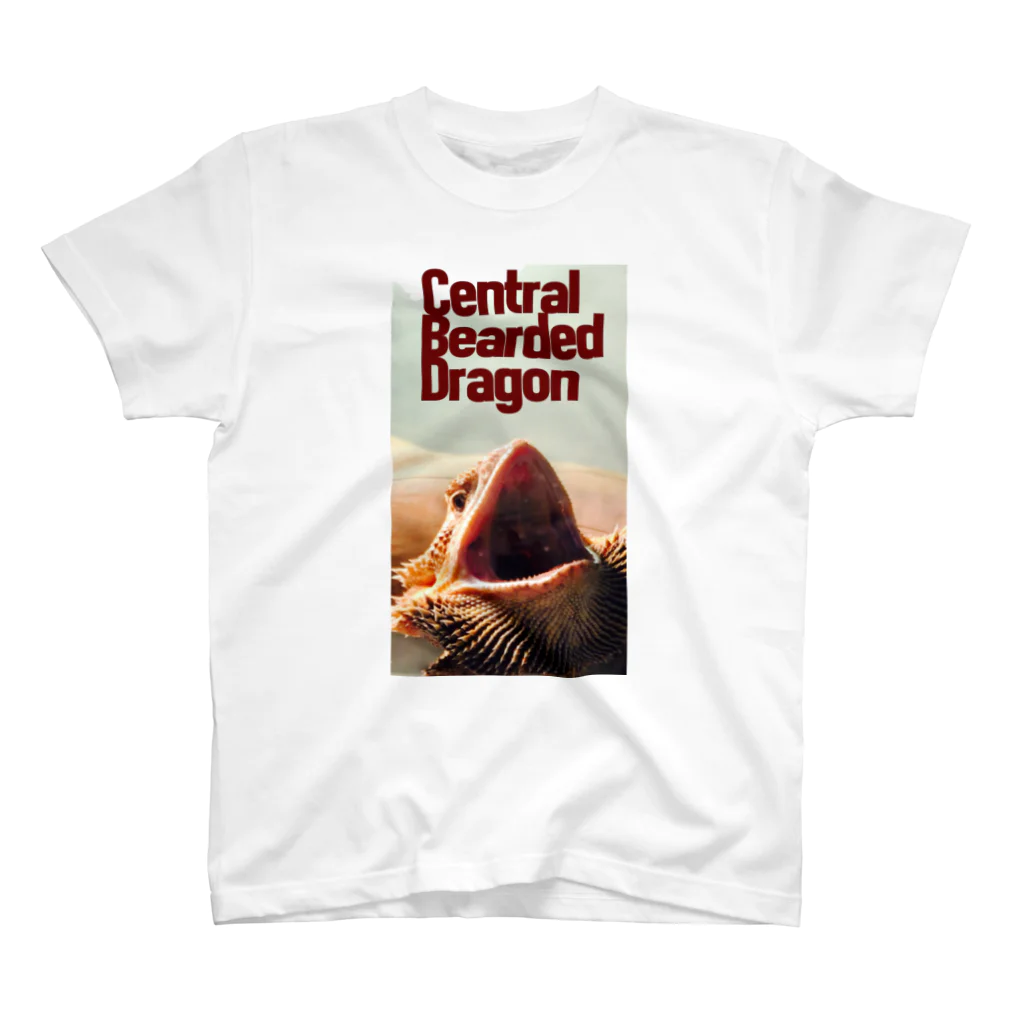 Antigravity ReptileのC.B.D Regular Fit T-Shirt
