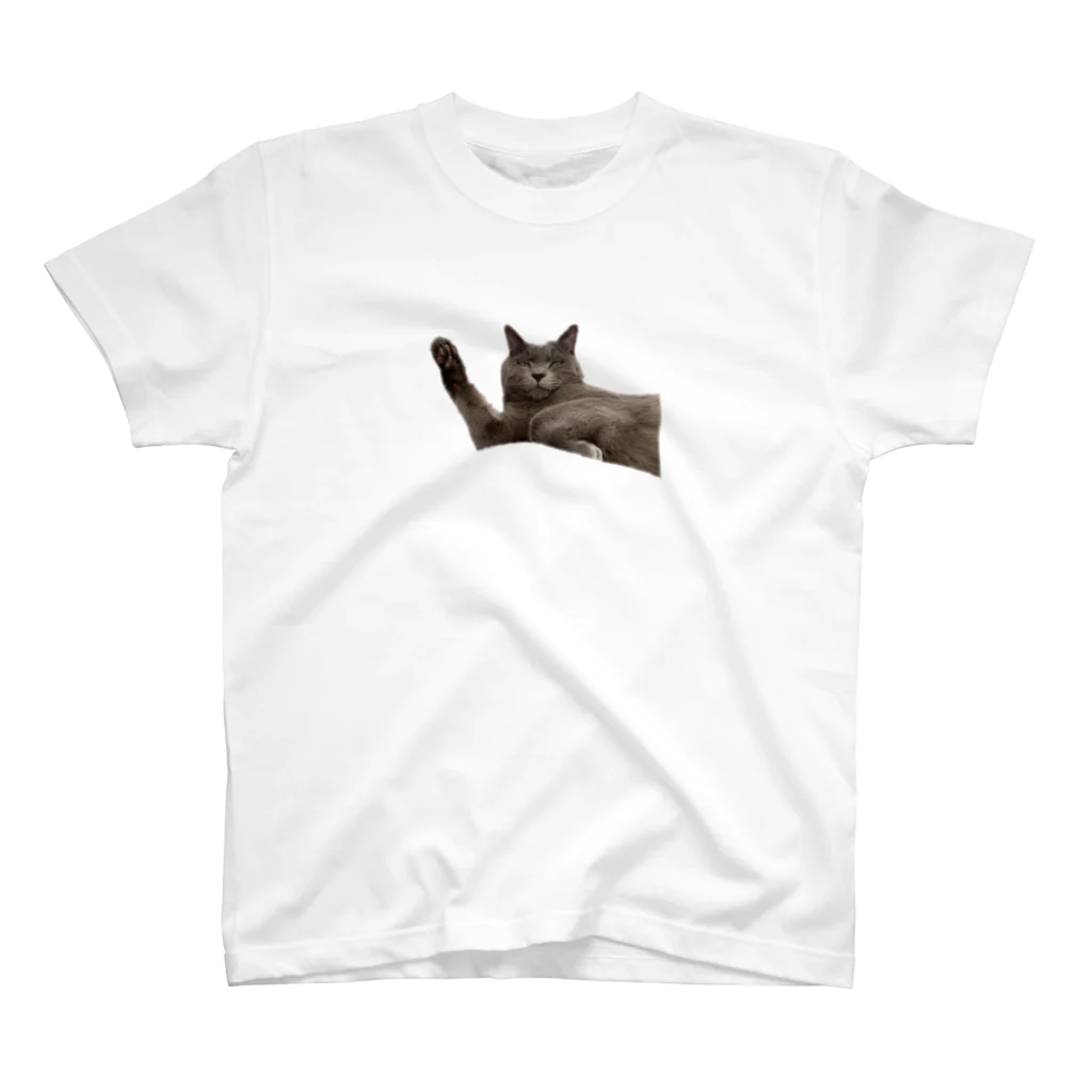 Ren_chanの寝起きの猫3 スタンダードTシャツ