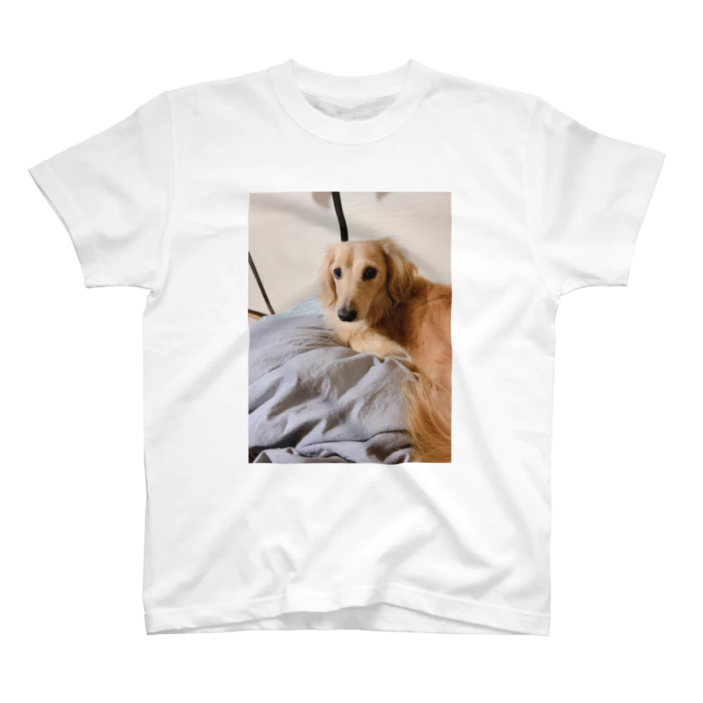 🐶だい♀︎のだいすけべ スタンダードTシャツ