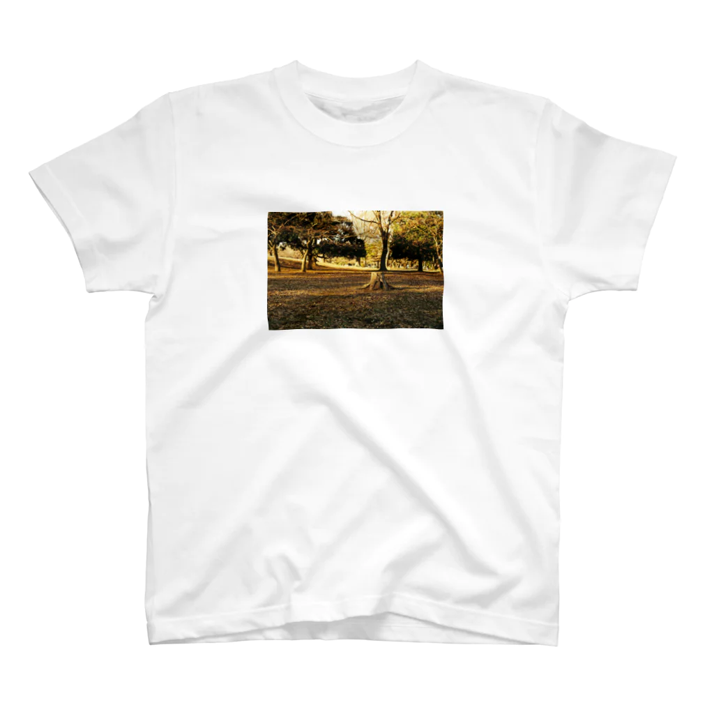 treeseekの切り株Tシャツ Regular Fit T-Shirt