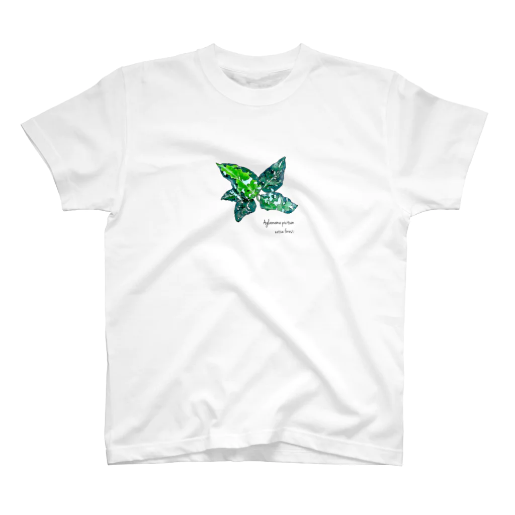 native forest 植物グッズのお店のアグラオネマ・ピクタム（Aglaonema pictum） スタンダードTシャツ