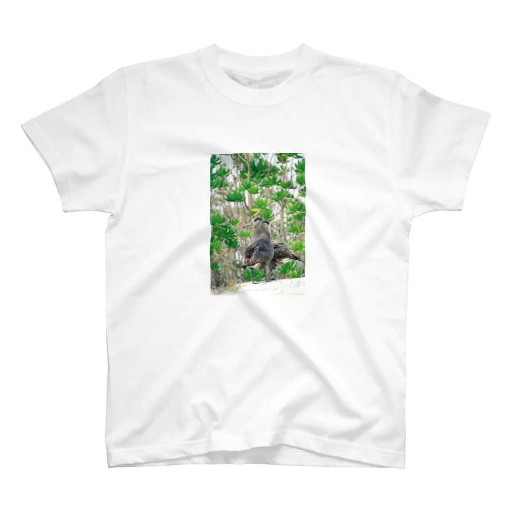 写真的徒然草のクロアシアホウドリ スタンダードTシャツ