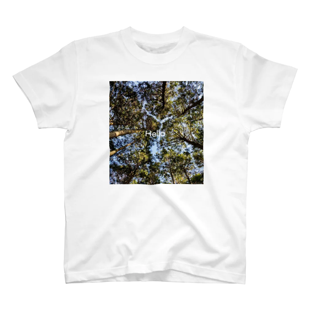 horror_nou13の見上げた杉からの空 スタンダードTシャツ