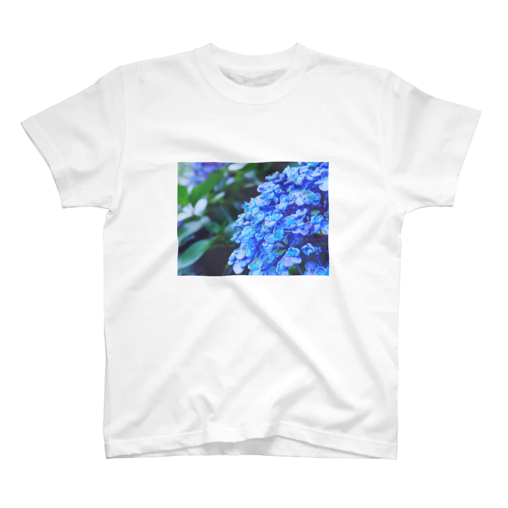 SHOPマニャガハの渦紫陽花(ウズアジサイ) スタンダードTシャツ