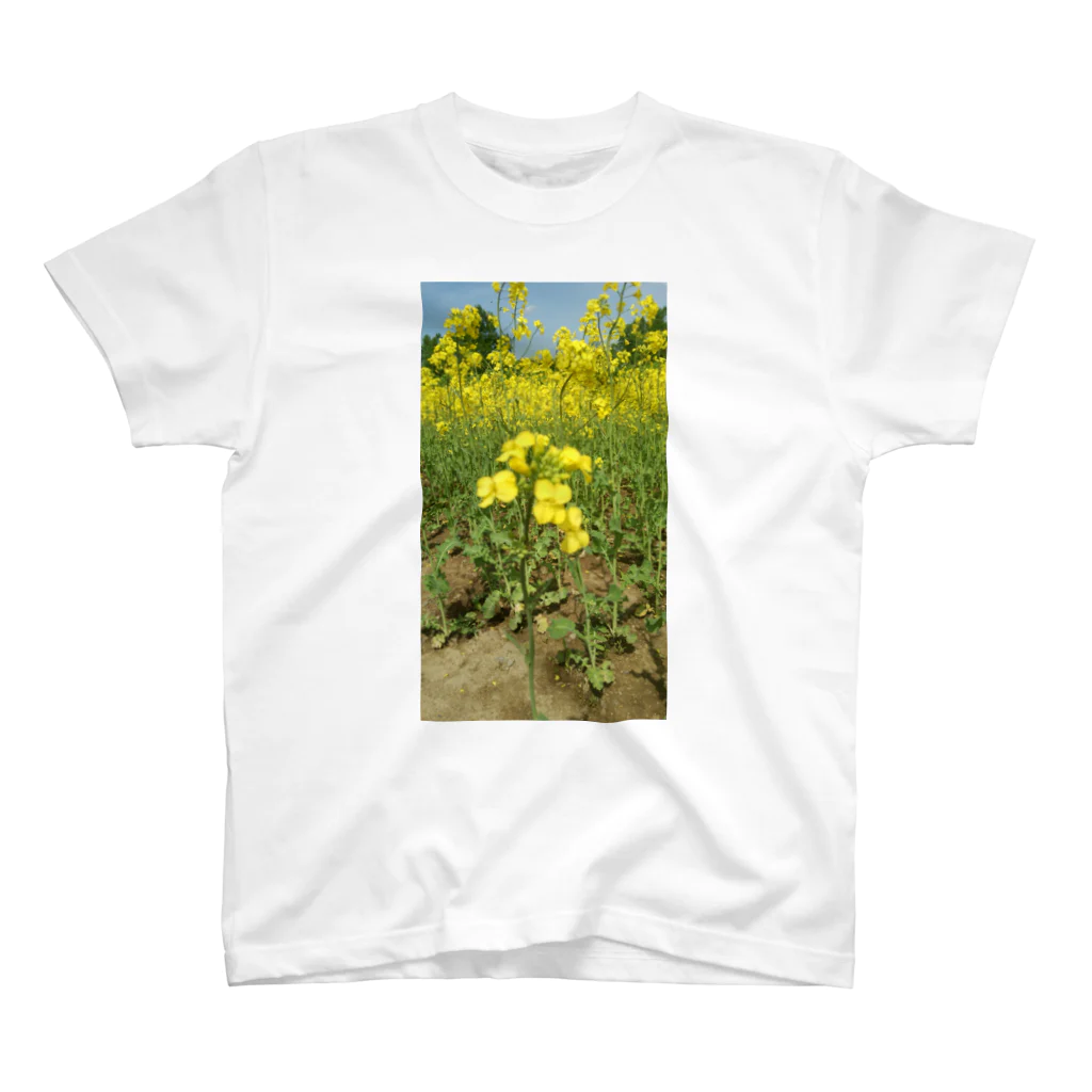 若葉のつぼみの菜の花のんびり Regular Fit T-Shirt