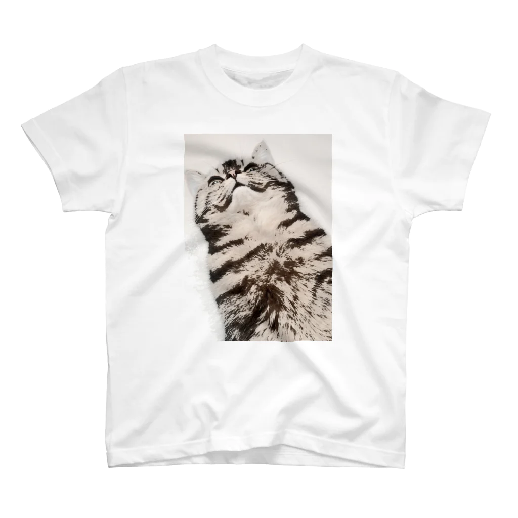 焼きマンゴスチンの見下ろし猫ウェア Regular Fit T-Shirt