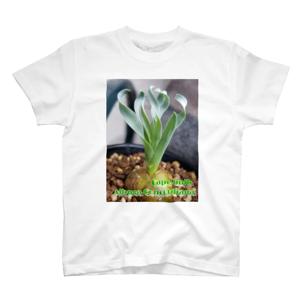 Mokemoke-bigfishのAlbuca concordiana アルブカ コンコルディアナ Regular Fit T-Shirt