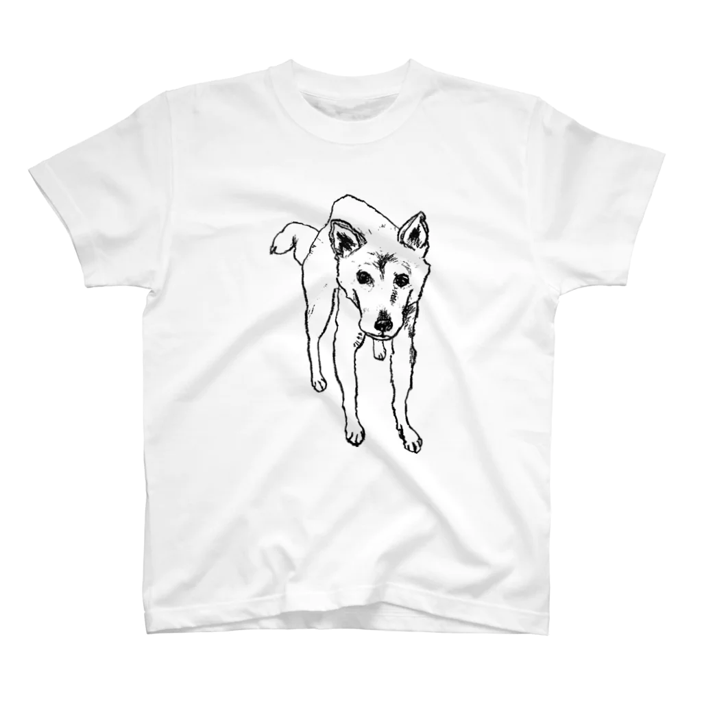 pastelfufuの柴犬『まなざし』 スタンダードTシャツ