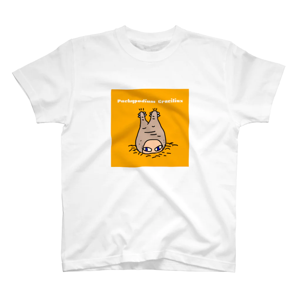 パキポキさんのPachypodium Gracilius  スタンダードTシャツ