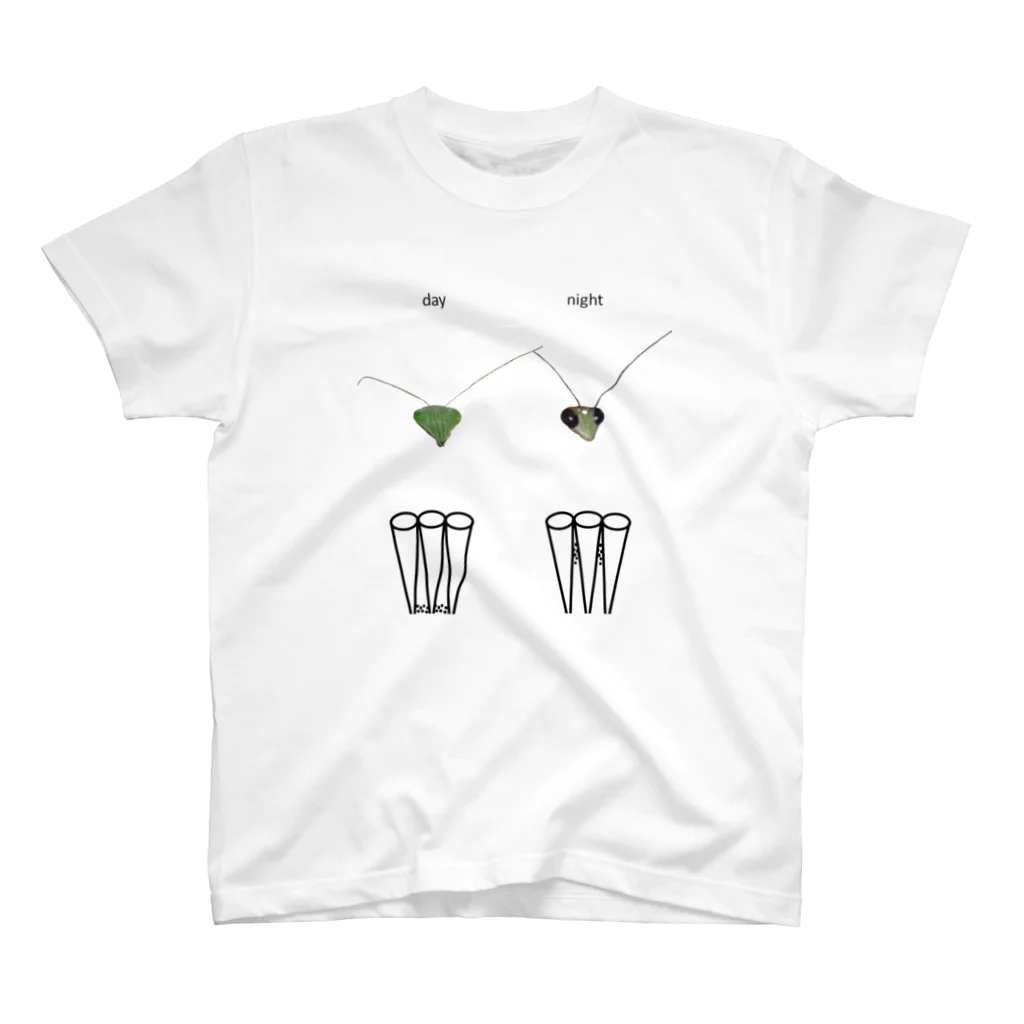 L_arctoaのカマキリの昼と夜の複眼（英語、背景白色ver） スタンダードTシャツ