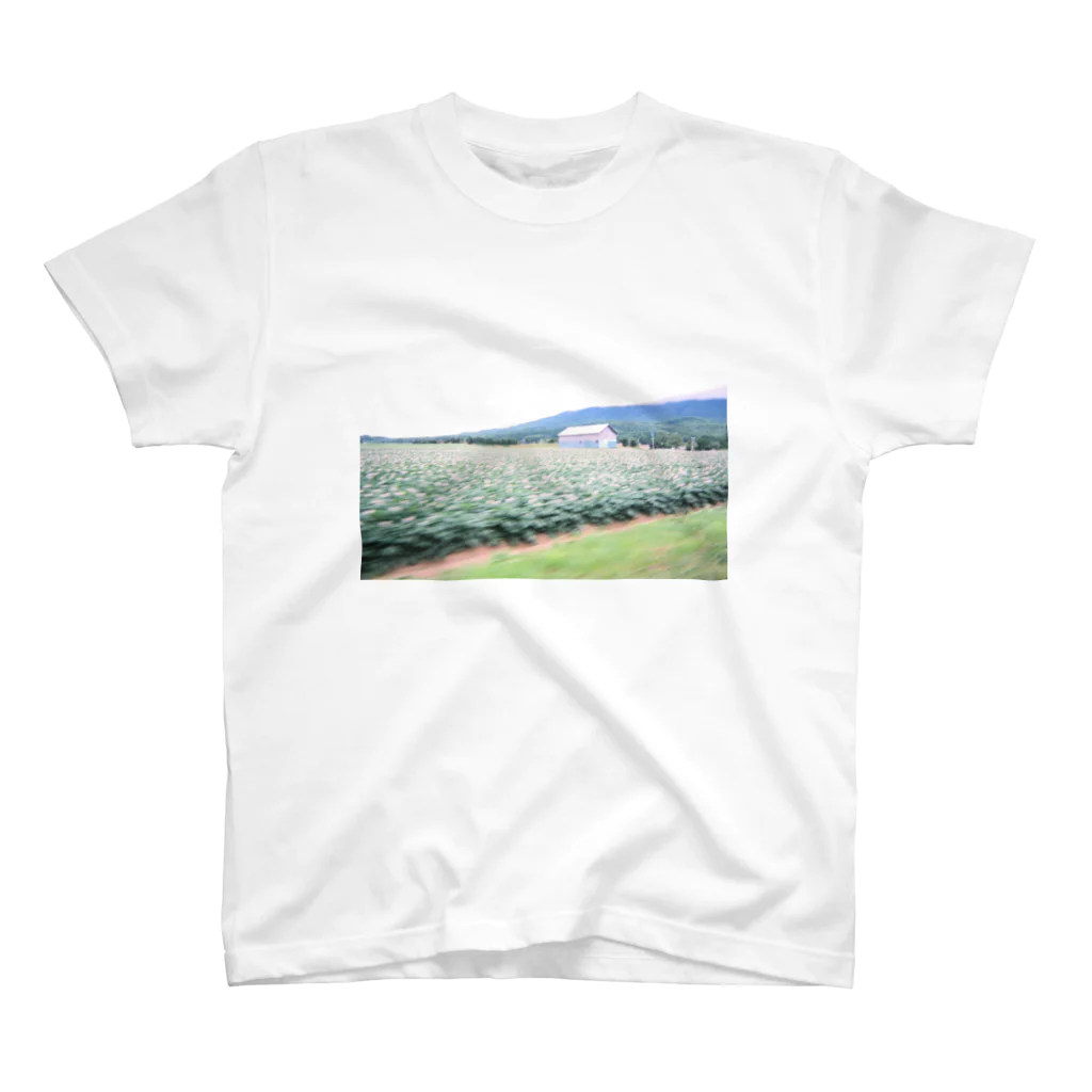 polipoliのTouring. スタンダードTシャツ