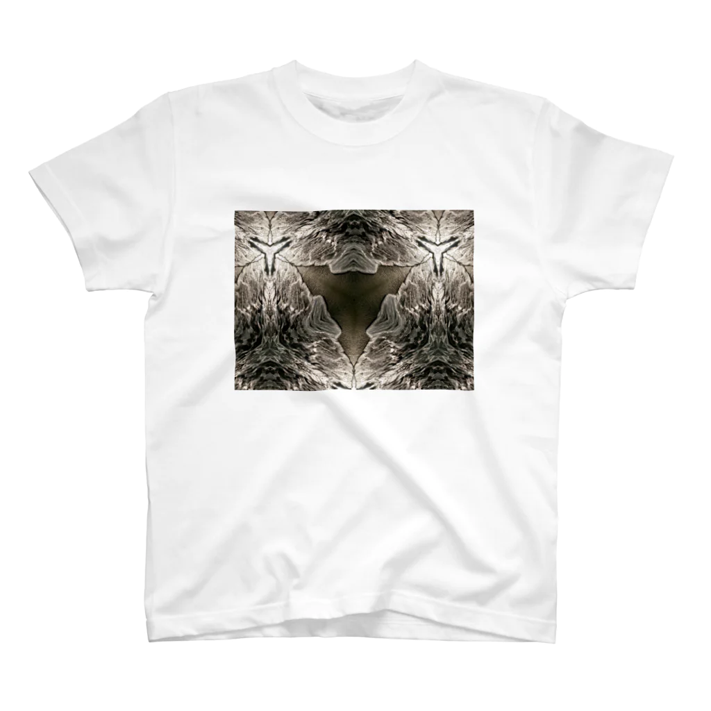 momenkoTWのHoneycomb structure 04 スタンダードTシャツ