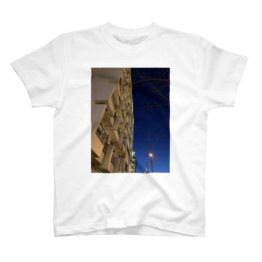 ゼン実験室の黄昏 Regular Fit T-Shirt