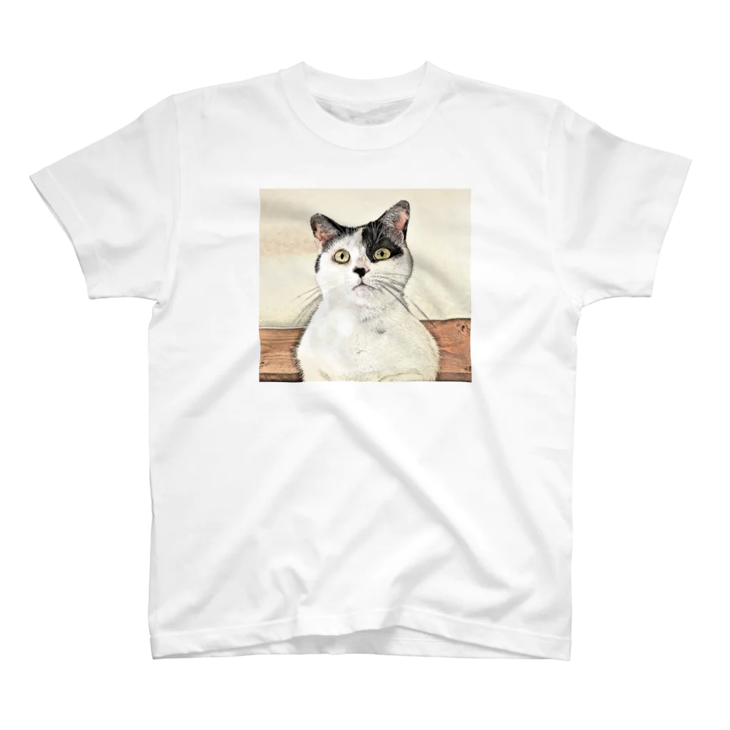 猫ねむりzzz..の鼻ブチ猫ちゃんスケッチ風 スタンダードTシャツ