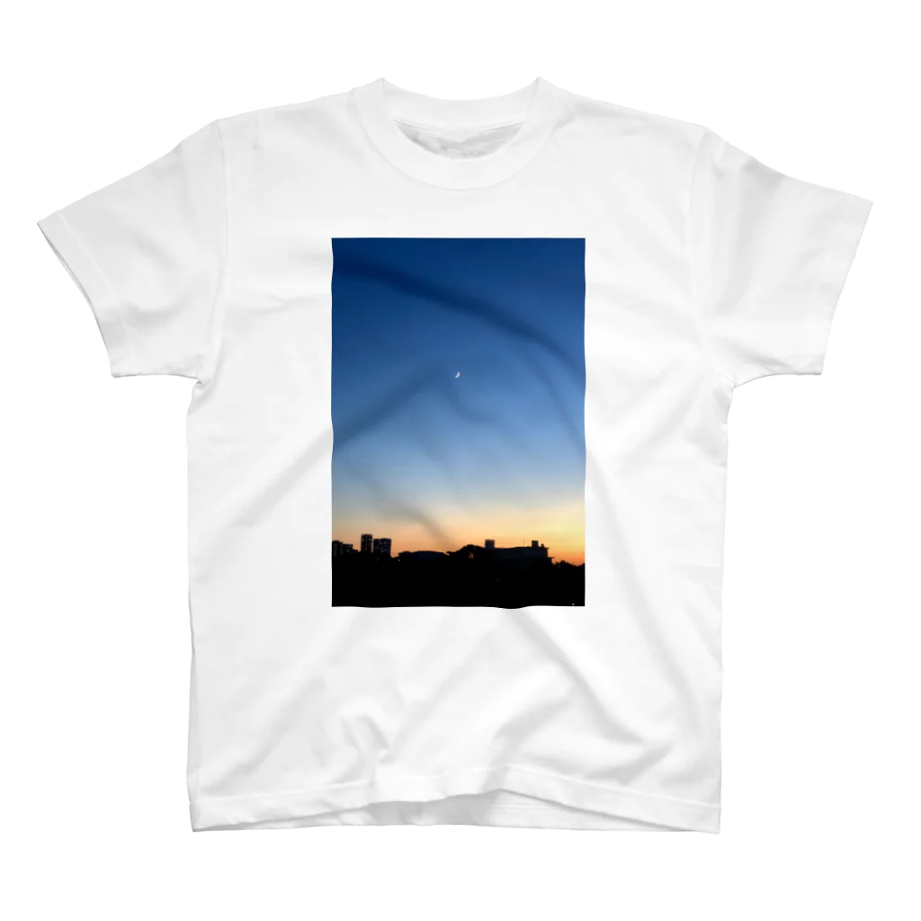 Hayco Art Studioの夕陽 スタンダードTシャツ