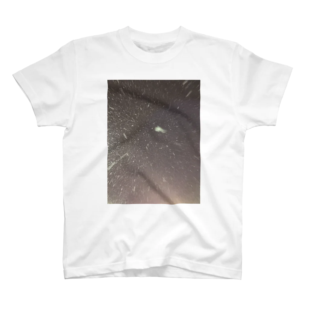 椎茸の雪 スタンダードTシャツ