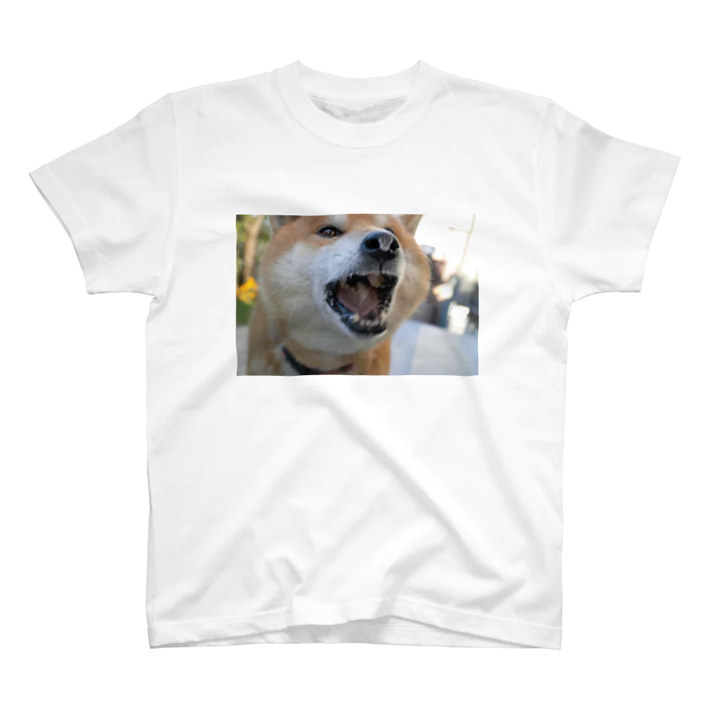 nami_takahashi73の柴犬の暴食後 Regular Fit T-Shirt