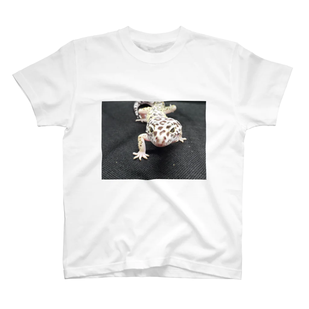 チェイタの爬虫類雑貨のレオパ マックスノー Regular Fit T-Shirt