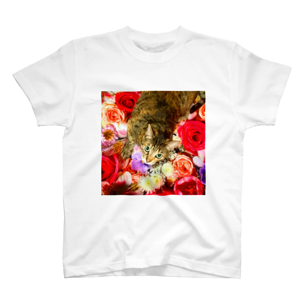 竹内秀明の花猫 スタンダードTシャツ