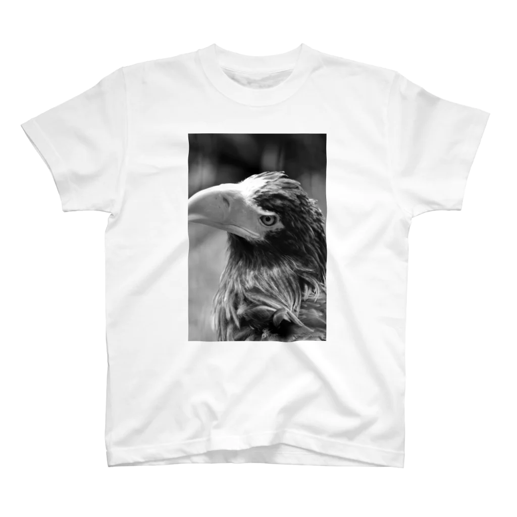 BLOOM_Yの鳥 スタンダードTシャツ
