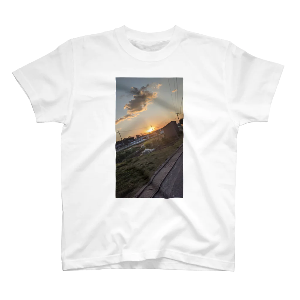 natuyasumi_catの散歩の夕日 スタンダードTシャツ