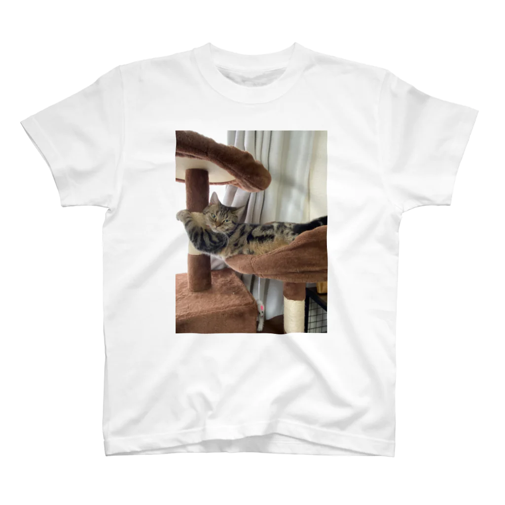 長澤まさみの猫 スタンダードTシャツ