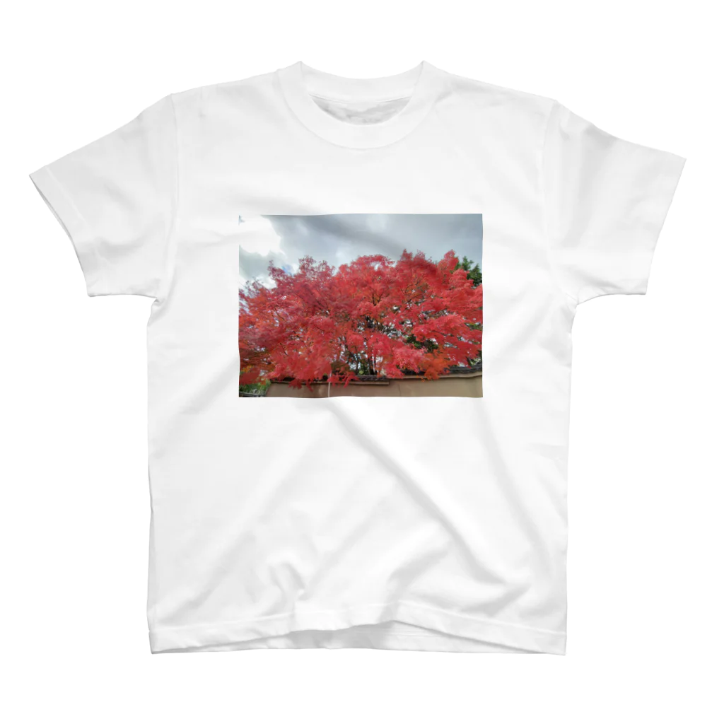 おまたparkの超紅葉 スタンダードTシャツ